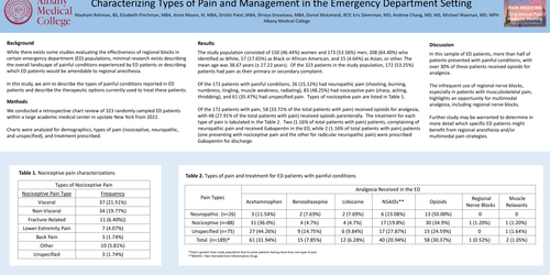 Preview of CHARACTERIZING TYPES OF PAIN AND MANAGEMENT IN THE EMERGENCY DEPARTMENT SETTING