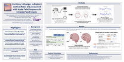 Thumbnail for OSCILLATORY CHANGES IN DISTINCT CORTICAL AREAS ARE ASSOCIATED WITH ACUTE PAIN RESPONSES IN CHRONIC PAIN PATIENTS