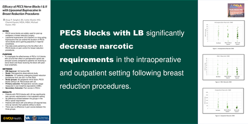 Preview of EFFICACY OF PECTORALIS NERVE BLOCKS I & II WITH LIPOSOMAL BUPIVACAINE IN PATIENTS UNDERGOING ELECTIVE BREAST REDUCTION PROCEDURES