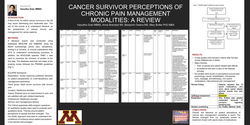 Thumbnail for CANCER SURVIVOR PERCEPTIONS OF CHRONIC PAIN MANAGEMENT MODALITIES: A REVIEW