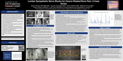 Preview of LUMBAR SYMPATHETIC NERVE BLOCKS FOR CANCER-RELATED BONE PAIN: A CASE SERIES
