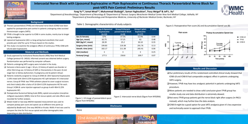 Preview of INTERCOSTAL NERVE BLOCKS WITH LIPOSOMAL OR PLAIN BUPIVACAINE VS THORACIC PARAVERTEBRAL NERVE BLOCK FOR VATS: PRELIMINARY RESULTS
