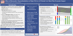 Thumbnail for EFFECT OF RESTORATIVE NEUROSTIMULATION ON MAJOR DRIVERS OF CHRONIC LOW BACK PAIN ECONOMIC IMPACT