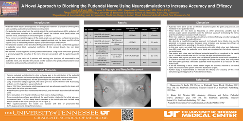 Preview of NERVE STIMULATION GUIDED PUDENDAL NERVE BLOCK, DOES IT INCREASE ACCURACY AND EFFICACY? A CASE SERIES