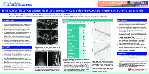 Preview of SMALL MUSCLES, BIG CURVES: RELATIONSHIP OF SPINAL EXTENSOR MUSCLES AND LUMBAR CURVATURE IN PATIENTS WITH CHRONIC LOW BACK PAIN