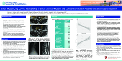 Thumbnail for SMALL MUSCLES, BIG CURVES: RELATIONSHIP OF SPINAL EXTENSOR MUSCLES AND LUMBAR CURVATURE IN PATIENTS WITH CHRONIC LOW BACK PAIN