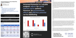 Thumbnail for INTRANASAL KETAMINE FOR CANCER RELATED PAIN: NAVIGATING THE DUAL EFFECTS OF ANALGESIA AND ADDICTION