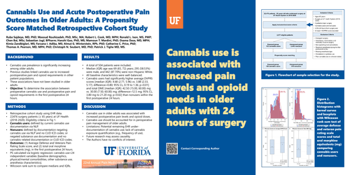 Preview of CANNABIS USE AND ACUTE POSTOPERATIVE PAIN OUTCOMES IN OLDER ADULTS: A PROPENSITY SCORE MATCHED RETROSPECTIVE COHORT STUDY