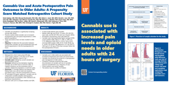 Thumbnail for CANNABIS USE AND ACUTE POSTOPERATIVE PAIN OUTCOMES IN OLDER ADULTS: A PROPENSITY SCORE MATCHED RETROSPECTIVE COHORT STUDY