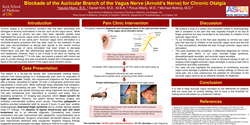 Thumbnail for BLOCKADE OF THE AURICULAR BRANCH OF THE VAGUS NERVE (ARNOLD’S NERVE) FOR CHRONIC OTALGIA