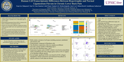 Thumbnail for HUMAN CELL TRANSCRIPTOMIC DIFFERENCES BETWEEN HYPERTROPHIC AND NORMAL LIGAMENTUM FLAVUM IN CHRONIC LOW BACK PAIN