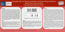 Thumbnail for NEUROPATHIC PAIN IN SPINAL CORD INJURY PATIENTS ATTRIBUTABLE TO THE PERSISTENT HYPEREXCITABILITY OF HUMAN PRIMARY SENSORY NEURONS