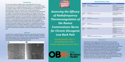 Preview of ASSESSING THE EFFICACY OF RADIOFREQUENCY THERMOCOAGULATION OF THE RAMUS COMMUNICANS NERVE FOR CHRONIC DISCOGENIC LOW BACK PAIN