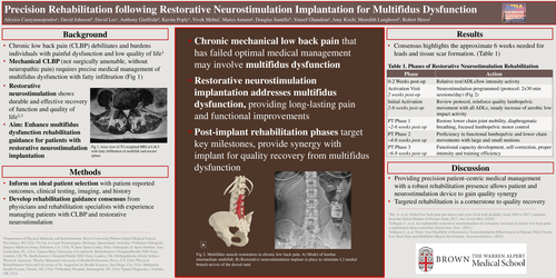 Preview of PRECISION REHABILITATION FOLLOWING RESTORATIVE NEUROSTIMULATION IMPLANTATION FOR MULTIFIDUS DYSFUNCTION