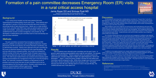 Preview of FORMATION OF A PAIN COMMITTEE DECREASES EMERGENCY ROOM (ER) VISITS IN A RURAL CRITICAL ACCESS HOSPITAL