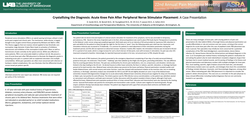 Thumbnail for CRYSTALLIZING THE DIAGNOSIS: ACUTE KNEE PAIN AFTER PERIPHERAL NERVE STIMULATOR PLACEMENT