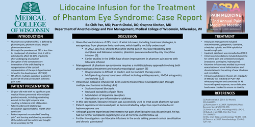 Preview of A NOVEL APPROACH TO THE TREATMENT OF PHANTOM EYE SYNDROME: A CASE REPORT