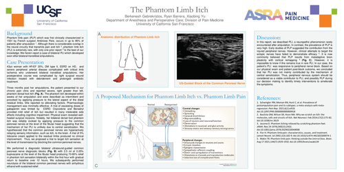 Preview of PHANTOM LIMB ITCH