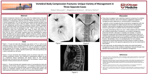 Preview of VERTEBRAL BODY COMPRESSION FRACTURES: UNIQUE VARIETY OF MANAGEMENT IN THREE SEPARATE CASES