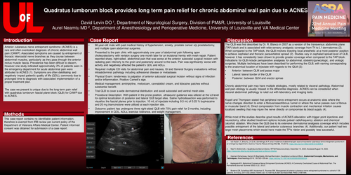 Preview of QUADRATUS LUMBORUM BLOCK PROVIDES LONG TERM PAIN RELIEF IN CHRONIC ABDOMINAL WALL PAIN DUE TO ACNES