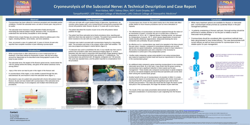 Preview of CRYONEUROLYSIS OF THE SUBCOSTAL NERVE: A TECHNICAL DESCRIPTION AND A CASE REPORT