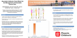 Thumbnail for NEUROLYTIC ADDUCTOR CANAL BLOCK FOR THE MANAGEMENT OF INTRACTABLE CANCER PAIN