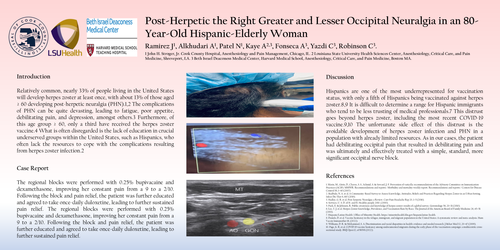 Preview of POSTHERPETIC NEURALGIA INVOLVING THE RIGHT GRATER AND LESSER OCCIPITAL NERVE IN AN ELDERLY PATIENT