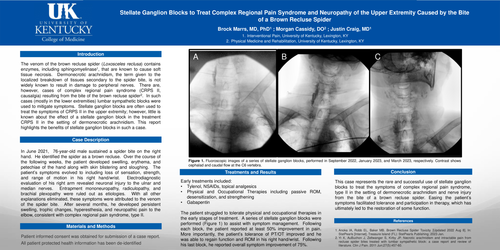 Preview of STELLATE GANGLION BLOCKS TO TREAT CRPS AND NEUROPATHY OF THE UPPER EXTREMITY CAUSED BY THE BITE OF A BROWN RECLUSE SPIDER
