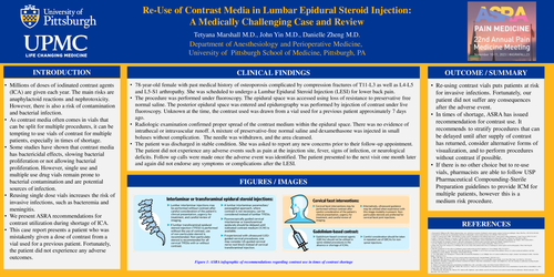 Preview of RE-USE OF CONTRAST MEDIA IN LUMBAR EPIDURAL STEROID INJECTION: A MEDICALLY CHALLENGING CASE AND REVIEW