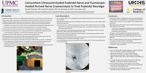 Preview of CONCOMITANT ULTRASOUND-GUIDED PUDENDAL NERVE AND FLUOROSCOPIC-GUIDED PERINEAL NERVE CRYONEUROLYSIS TO TREAT PUDENDAL NEURALGIA