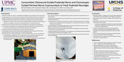 Thumbnail for CONCOMITANT ULTRASOUND-GUIDED PUDENDAL NERVE AND FLUOROSCOPIC-GUIDED PERINEAL NERVE CRYONEUROLYSIS TO TREAT PUDENDAL NEURALGIA