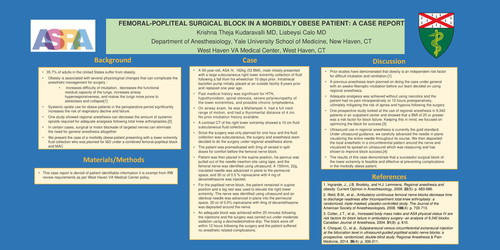 Preview of FEMORAL-POPLITEAL SURGICAL BLOCK IN A MORBIDLY OBESE PATIENT: A CASE REPORT