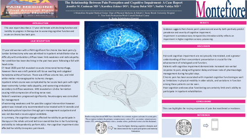 Preview of THE RELATIONSHIP BETWEEN PAIN PERCEPTION AND COGNITIVE IMPAIRMENT