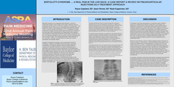 Thumbnail for BERTOLOTTI SYNDROME .... A REAL PAIN IN THE LOW BACK: A CASE REPORT & REVIEW ON PSEUDOARTICULAR INJECTIONS AS A TREATMENT APPROACH