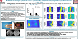 Thumbnail for MULTIMODAL MONITORING OF SYMPATHETIC NERVOUS SYSTEM OUTFLOW IN A PATIENT UNDERGOING LUMBAR SYMPATHETIC BLOCKADE: A CASE STUDY