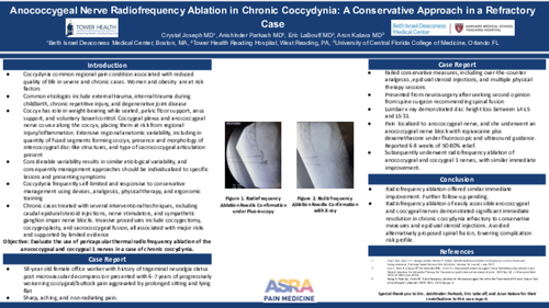 Preview of ANOCOCCYGEAL NERVE RADIOFREQUENCY ABLATION IN CHRONIC COCCYDYNIA: A CONSERVATIVE APPROACH IN A REFRACTORY CASE