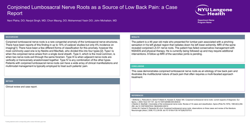 Preview of CONJOINED LUMBOSACRAL NERVE ROOTS AS A SOURCE OF LOW BACK PAIN: A CASE REPORT