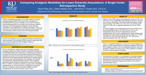 Preview of COMPARING ANALGESIC MODALITIES FOR LOWER EXTREMITY AMPUTATIONS: A SINGLE CENTER RETROSPECTIVE STUDY