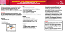 Thumbnail for SPINAL ANESTHETIC UTILIZED FOR A SINGLE LEVEL LUMBAR MICRODISCECTOMY