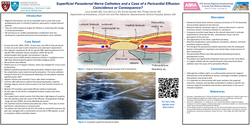 Thumbnail for SUPERFICIAL PARASTERNAL INTERCOSTAL NERVE CATHETERS AND A CASE OF A PERICARDIAL EFFUSION: A COINCIDENCE OR A CONSEQUENCE?
