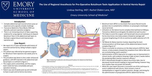 Preview of THE USE OF REGIONAL ANESTHESIA FOR PRE-OPERATIVE BOTULINUM TOXIN APPLICATION VENTRAL HERNIA REPAIR