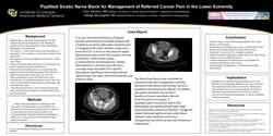 Thumbnail for POPLITEAL SCIATIC NERVE BLOCK FOR MANAGEMENT OF REFERRED CANCER PAIN IN THE LOWER EXTREMITY