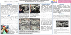 Thumbnail for ULTRASOUND-GUIDED PERCUTANEOUS CRYONEUROLYSIS FOR ACUTE PAIN MANAGEMENT AFTER WRIST DISARTICULATION WITH FOREARM DEGLOVING
