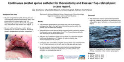 Thumbnail for CONTINUOUS ERECTOR SPINAE CATHETER FOR THORACOTOMY AND ELOESSER FLAP-RELATED PAIN: A CASE REPORT