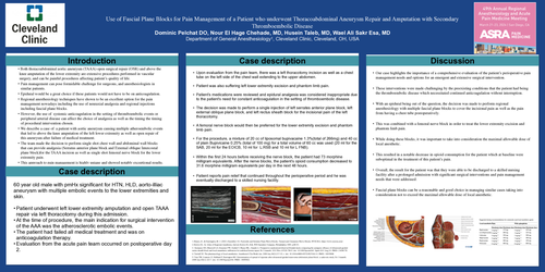Preview of FASCIAL PLANE BLOCKS FOR PAIN MANAGEMENT AFTER THORACOABDOMINAL ANEURYSM REPAIR AND AMPUTATION WITH THROMBOEMBOLIC DISEASE