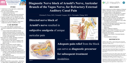 Thumbnail for DIAGNOSTIC NERVE BLOCK OF ARNOLD'S NERVE, AURICULAR BRANCH OF THE VAGUS NERVE, FOR REFRACTORY EXTERNAL AUDITORY CANAL PAIN