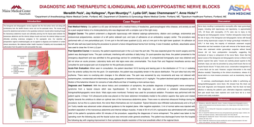 Preview of DIAGNOSTIC AND THERAPEUTIC ILIOINGUINAL AND ILIOHYPOGASTRIC NERVE BLOCKS: A CASE REPORT