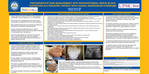 Preview of POSTOPERATIVE PAIN MANAGEMENT WITH PARAVERTEBRAL NERVE BLOCK CATHETERS IN A PEDIATRIC PATIENT WITH CAUDAL REGRESSION SYNDROME