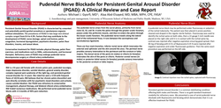 Thumbnail for PUDENDAL NERVE BLOCKADE FOR PERSISTENT GENITAL AROUSAL DISORDER (PGAD): A CLINICAL REVIEW AND CASE REPORT