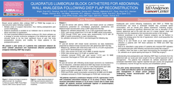 Thumbnail for QUADRATUS LUMBORUM BLOCK CATHETERS FOR ABDOMINAL WALL ANALGESIA FOLLOWING DIEP FLAP RECONSTRUCTION